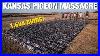 1 694 Pigeons In One Hunt Epic Pigeon Hunting Over Decoys
