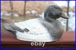 (3) General Fibre Ariduk Bluebill Lifesize Duck Decoys Vintage Hunting RARE! OP