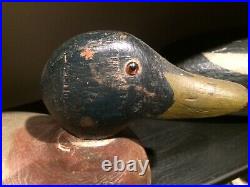 ANTIQUE DUCK DECOYMallard Duck, Ken Trayer stamp 1921-1925