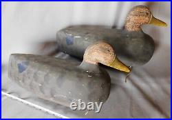 American hand carved matching pair working black duck decoys painted signed