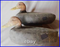 American hand carved matching pair working black duck decoys painted signed
