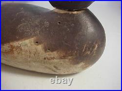 Antique 19th Century DODGE or MASON DUCK DECOY with Glass Eye