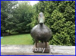 Antique Black Duck Decoy From Chincoteague, Virginia