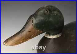 Antique Duck Decoy 16.5 Mason Premier Snake Head Mallard Drake, All Original