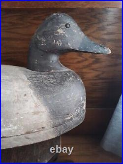 Antique Duck Decoy 17.5 long Canvasback Hand Carved LOOK