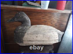 Antique Duck Decoy 17.5 long Canvasback Hand Carved LOOK