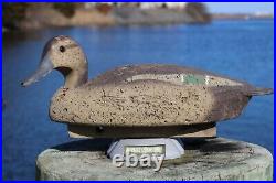 Antique Green-Winged Teal Hen Hand Carved Duck Decoy