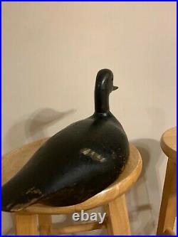 Antique Ontario Black Duck Duck decoy Billy Ellis Whitney Ontario (1870-1968)