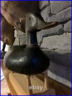 Antique Toronto high head Bluebill duck decoy