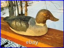 Antique / Vintage Duck Decoy Goldeneye Hen Tack Eyes Folk Art Primitive