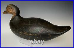 Antique Working Decoy Mason Black Duck, 17 Premier Grade Glass Eye Model c1910