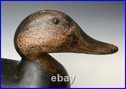 Antique Working Decoy Mason Black Duck, 17 Premier Grade Glass Eye Model c1910
