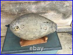 Antique vintage old wooden working Illinois River Blue Wing Teal Hen duck decoy