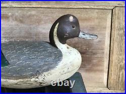 Antique vintage old wooden working Va. Hudson style M. Daisy Pintail duck decoy