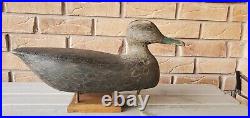 Belleville Prince Edward County Black Duck Decoy Ontario Antique Old Trenton