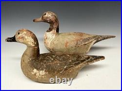 Bill Neal Pintail Pair Duck Hunting Decoys Decoy Wood Carved 1939 RARE