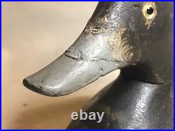 Bluebill scaup duck decoy muskie jake New York Canada branded CM