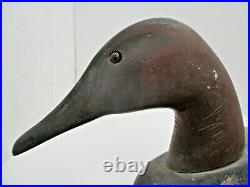 C1950 Decoys Unlimited Drake Canvasback Duck Decoy R. D. #5 Erie PA