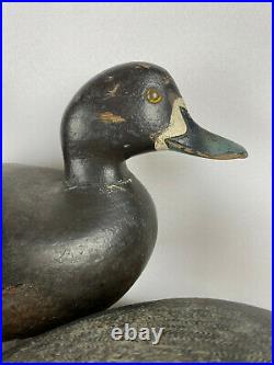 C1950 Julius Mittlesteadt Bluebill Duck Decoy Pair from Buffalo, NY Great Form