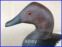 Canvasback Drake, carved wood decorative duck decoy, signed and dated, 1972