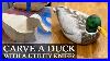 Carve A Stunning Wooden Duck With Just A Utility Knife U0026 X Acto Knife