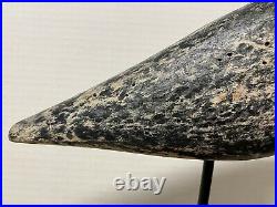 Carved Black-bellied Plover Shorebird Decoy by Nate Kirby, Stamped NK, Tack Eyes
