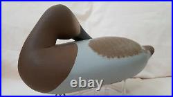Collectable Vintage Preener Canvasback Hen Decoy (charles Bryan Middle River)