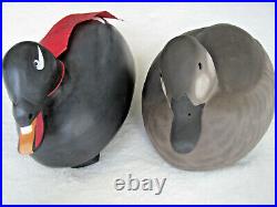 Decoys Pair of White-Winged Scoter Ducks Carved by Rich Chmiel