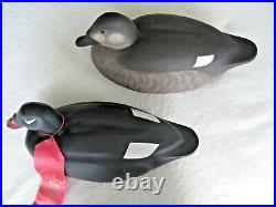 Decoys Pair of White-Winged Scoter Ducks Carved by Rich Chmiel