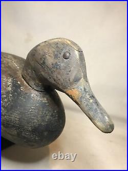 Dodge mallard drake tack eye 1880s duck decoy