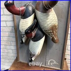 Ducks Unlimited Chesapeake bay Style Canvasback Duck Decoys Wooden Wall Display