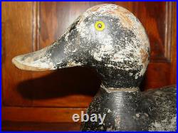 EVANS Vintage Duck Decoy Bluebill Original Working Bird with Glass Eyes