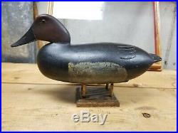 Early 1900s Hollow Carved Canvasback English Family New Jersey Circa 1900 Decoy