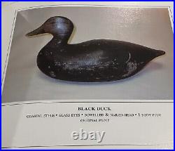 Early Antique Joe Lincoln Solid Carved Wood Oversize Coastal Black Duck Decoy