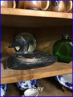 Early Painted Black Duck Decoy Ontario, Canada Original Paint