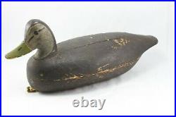 Early Unknown New Jersey Black duck decoy from NJ Coast Branded