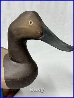 Excellent Canvasback Hen Duck Decoy George Bell /Zach Ward Crisfield, MD