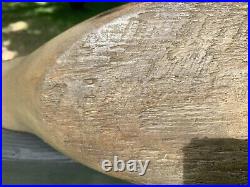 Excellent, Rare Rigmate Hollow Pintail Decoys David B. Ward CT. Signed Stamped