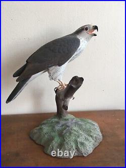 Goshawk Decoy Bird of Prey Raptor Hawk Flacon Model Statue Sculpture Duck