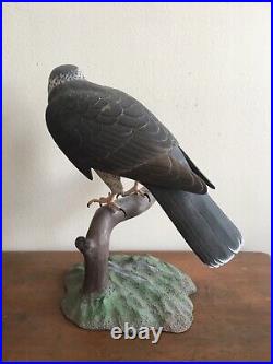 Goshawk Decoy Bird of Prey Raptor Hawk Flacon Model Statue Sculpture Duck