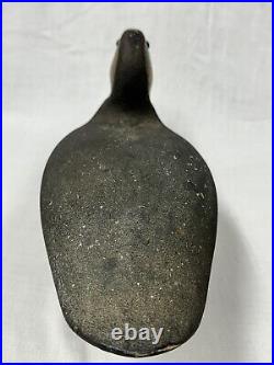 Great Vintage Black Duck Decoy New Jersey Carver Unknown Original Paint