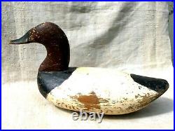 High Head Upper Chesapeake Canvasback Drake Duck Decoy