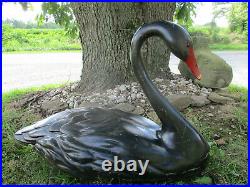 Huge Vintage Handcarved Black Swan Decoy Bob Hayden Original26 Long Glass Eyes