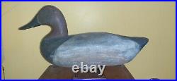 Important & Rare c1890 James Holly Branded DALLAM Canvasback Decoy Maryland MD