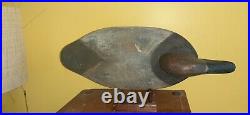 Important & Rare c1890 James Holly Branded DALLAM Canvasback Decoy Maryland MD