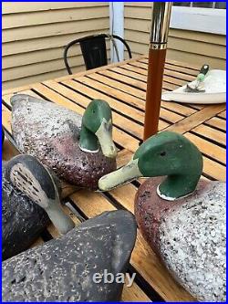 LL Bean Duck cork decoy set (6) mallard black duck