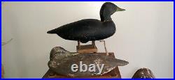 LOT OF 4 Vintage NJ Black Duck decoys c1940s Hollow Nice Paint MI WI