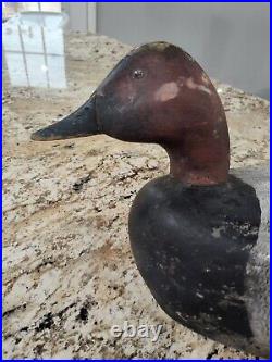 Large 1800s or 1900s hand carved Canvasback Duck Decoy Anchor Bay Lake St. Clair