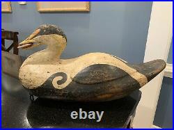 Large Signed John Paxson (Back Bay, Virginia) Eider Duck Decoy 21 Long