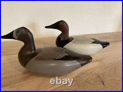 Leonard Lipham Jr Canvasback Duck Decoy Pair Havre De Grace Steven Jackson Style
